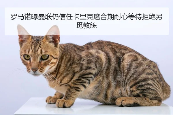 罗马诺曝曼联仍信任卡里克磨合期耐心等待拒绝另觅教练